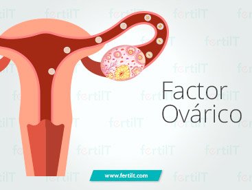factor-ovarico.jpg