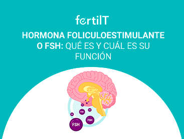 hormona-foliculoestimulante-mini.png