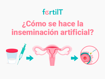 como-se-hace-la-inseminacion-artificial-miniatura.png