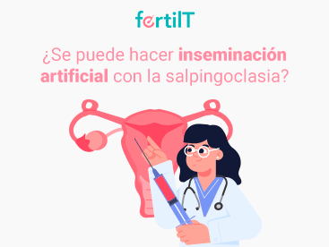 miniatura-se-puede-hacer-inseminacion-artificial-con-la-salpingoclasia-1.png