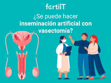miniatura-inseminacion-artificial-despues-de-vasectomia.png