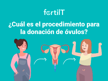 cual-es-el-procedimiento-para-la-donacion-de-ovulos-miniatura.png