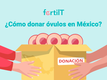 donar-ovulos-en-mexico-mini.png
