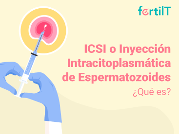 icsi-o-inyeccion-intracitoplasmatica-de-espermatozoides-portada-miniatura.png