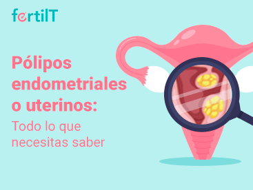 polipos-endometriales-o-uterinos-todo-lo-que-necesitas-saber-portada-miniatura.png