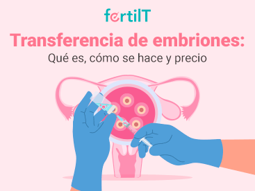transferencia-de-embriones-que-es-como-se-hace-y-precio-portada-miniatura.png