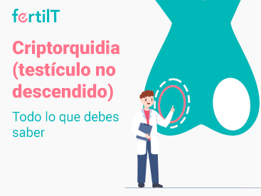 criptorquidia-testiculo-no-descendido-todo-lo-que-necesitas-saber-miniatura.png