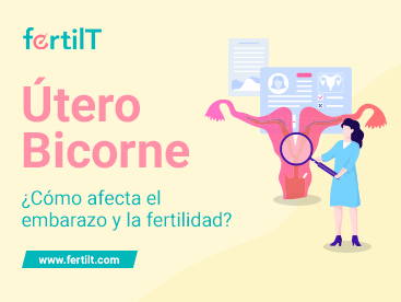 utero-bicorne-portada-miniatura.jpg