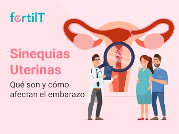 sinequias-uterinas-que-son-y-como-afectan-el-embarazo-mini.webp