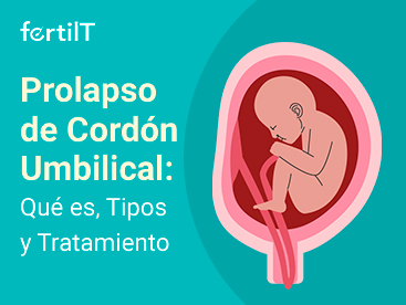 prolapso-del-cordon-umbilical-miniatura.webp