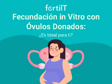 fecundacion-in-vitro-con-ovulos-donados-miniatura.webp