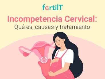 incompetencia-cervical-que-es-causa-y-tratamientos-mini.webp